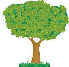 ¿Qué significa dibujar...?